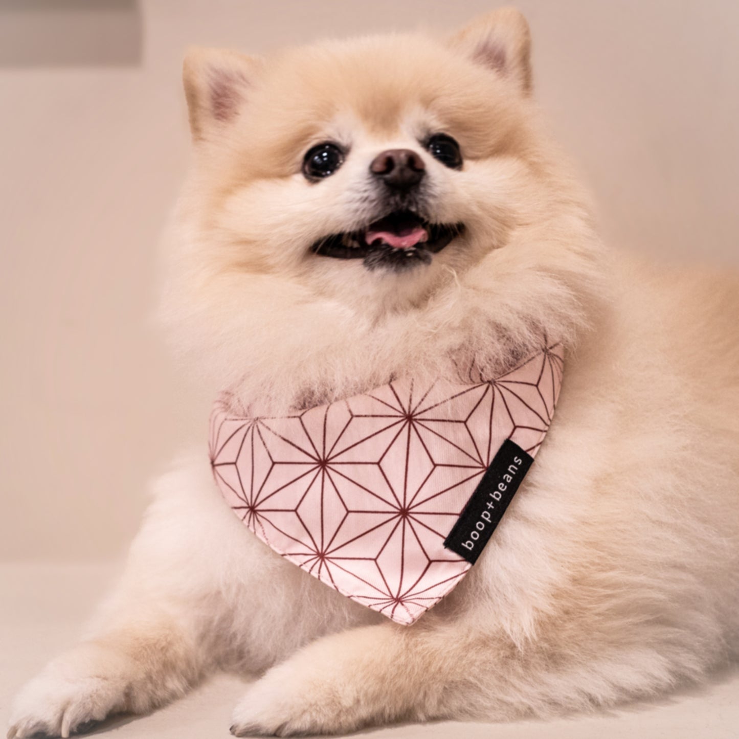 Pink Asanoha Style Bandana