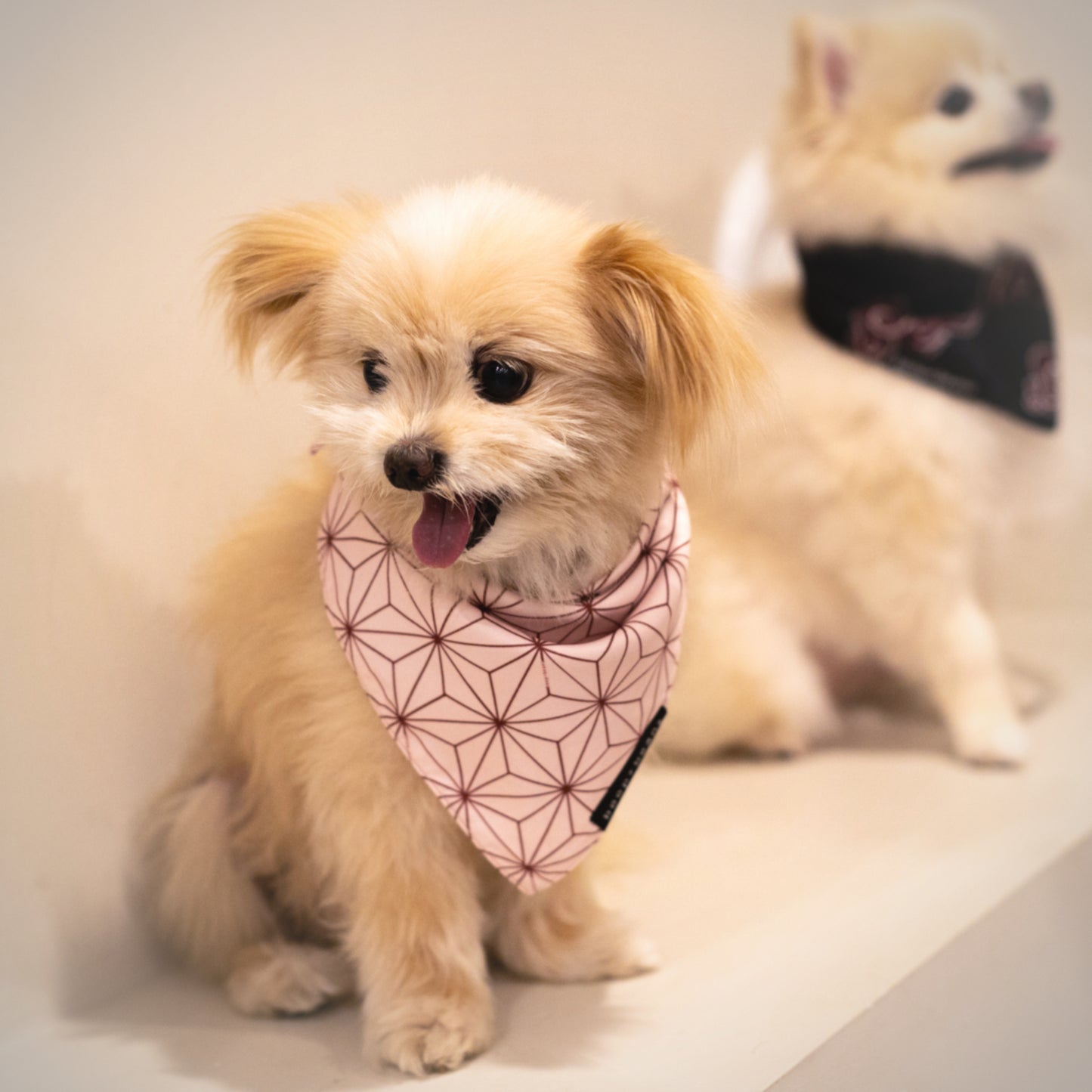 Pink Asanoha Style Bandana
