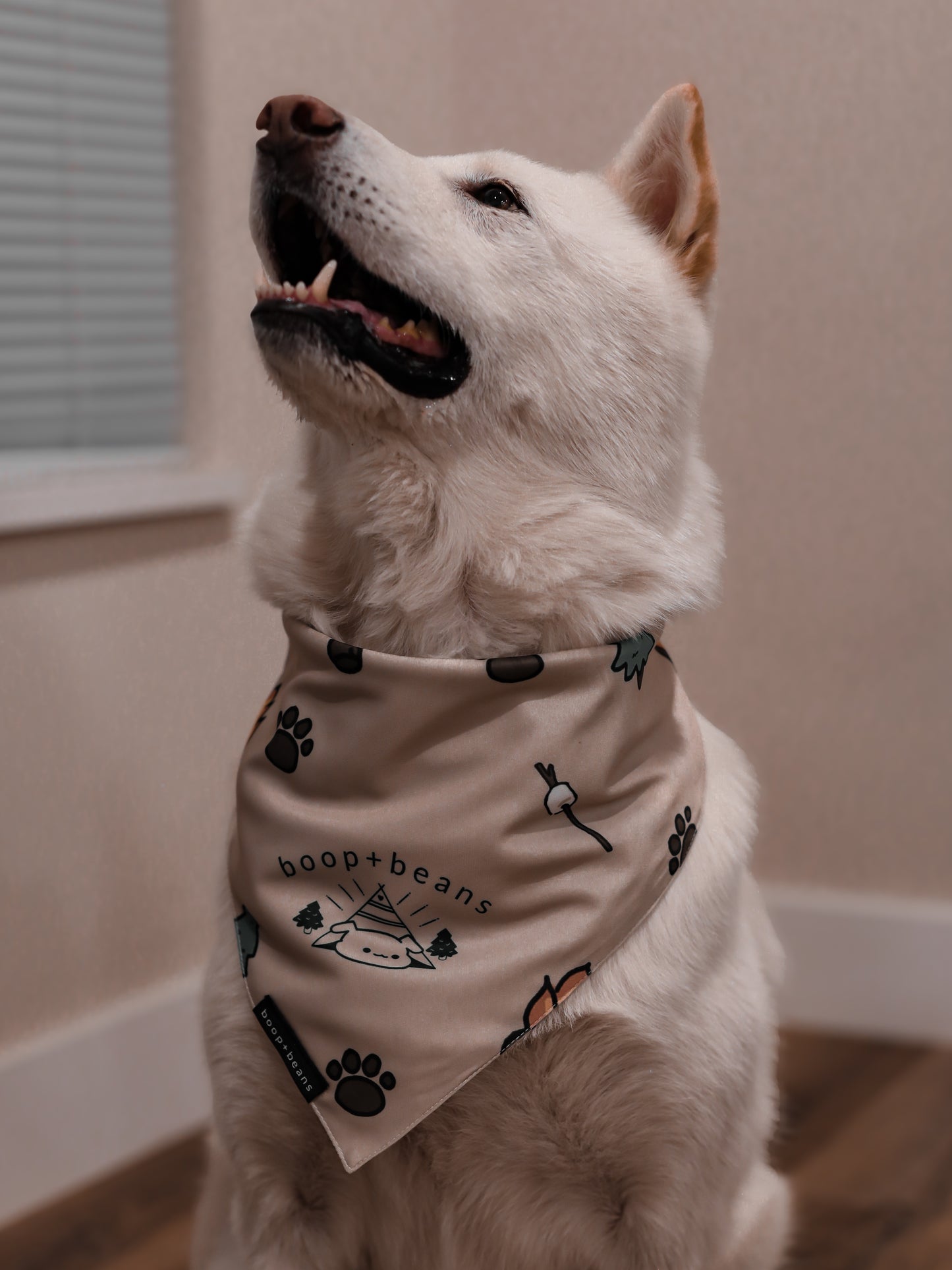Campy Style Bandana