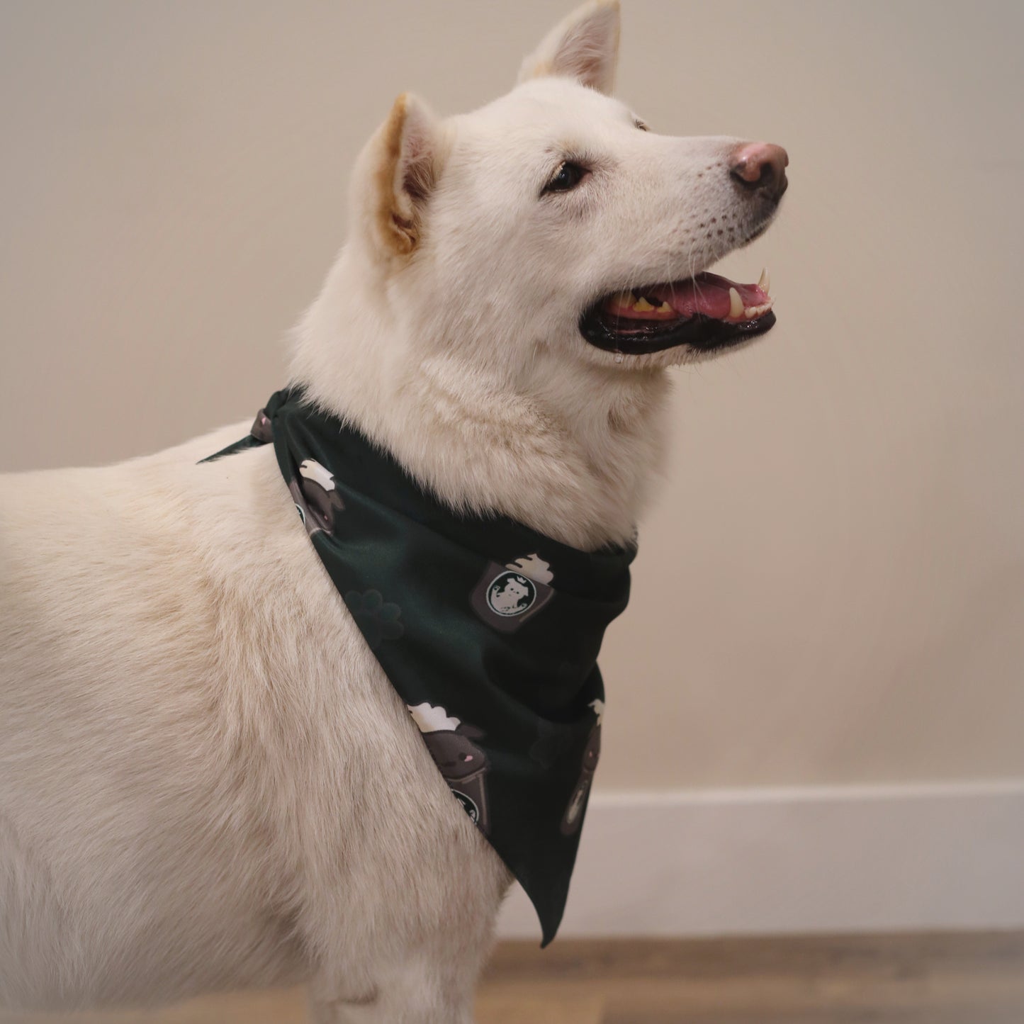 Pawbucks Style Bandana