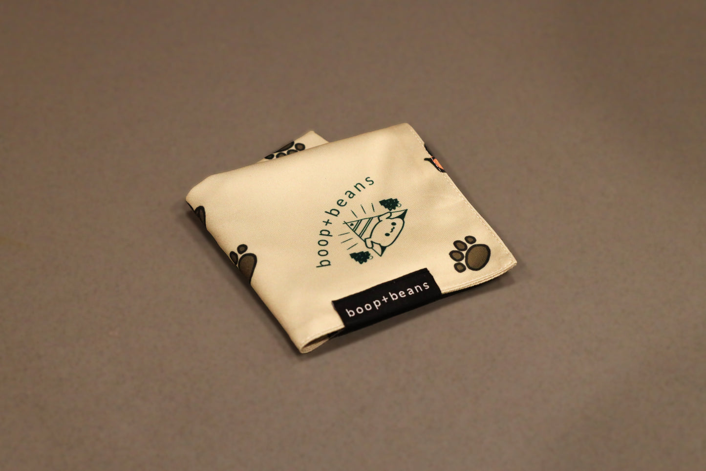 Campy Style Bandana