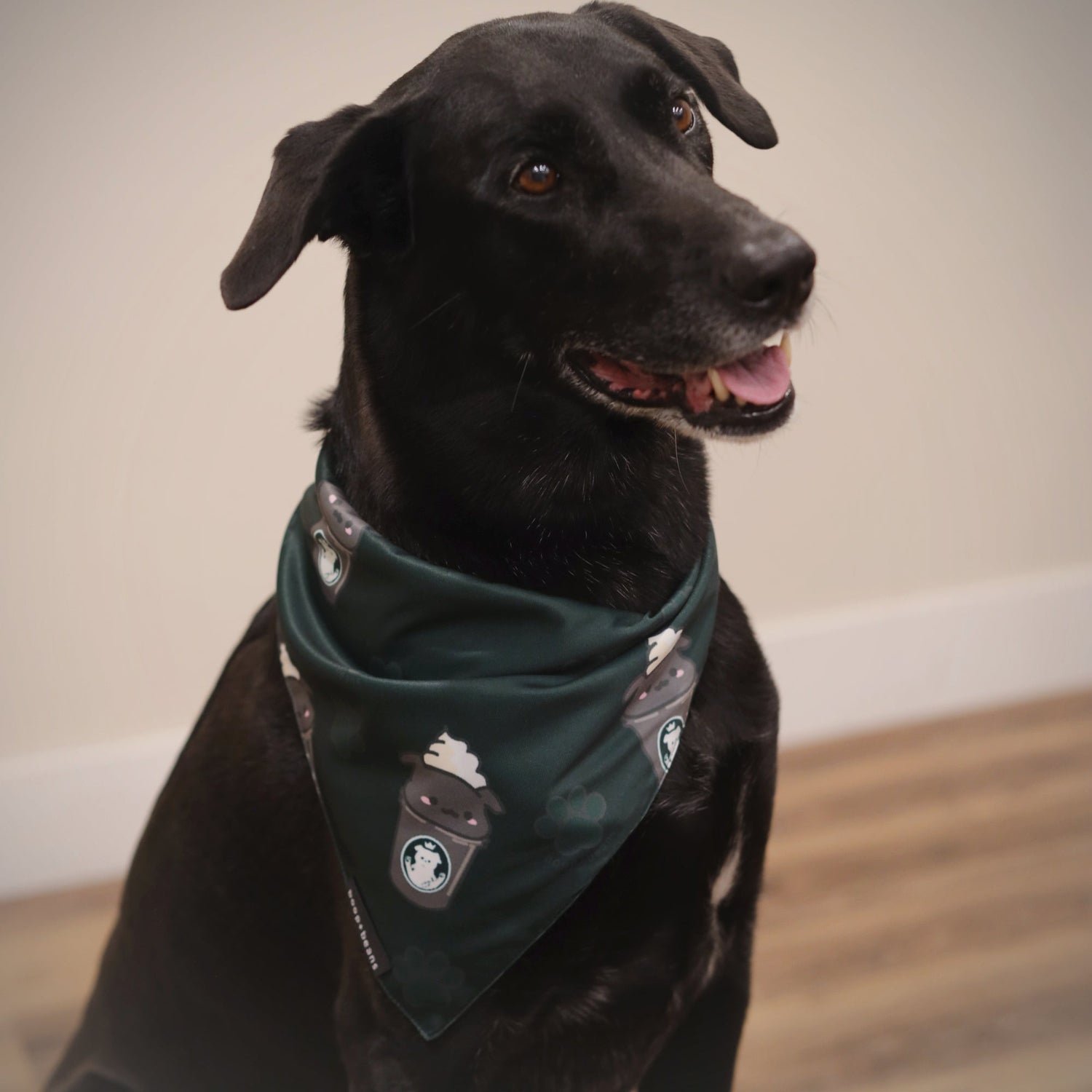 Bandanas