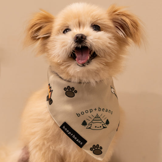 Campy Style Bandana