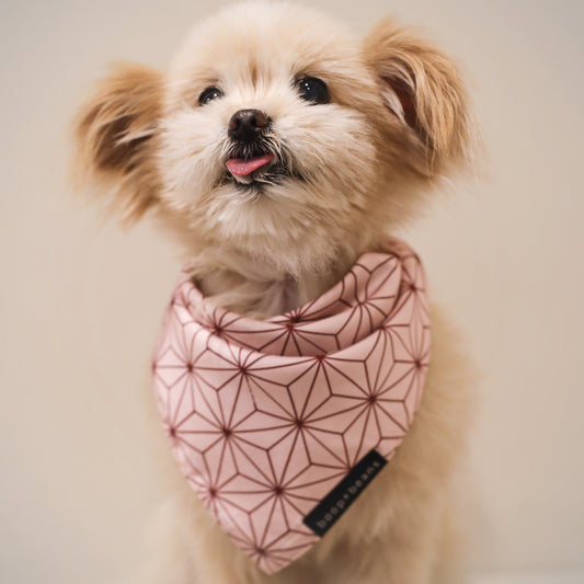 Pink Asanoha Style Bandana