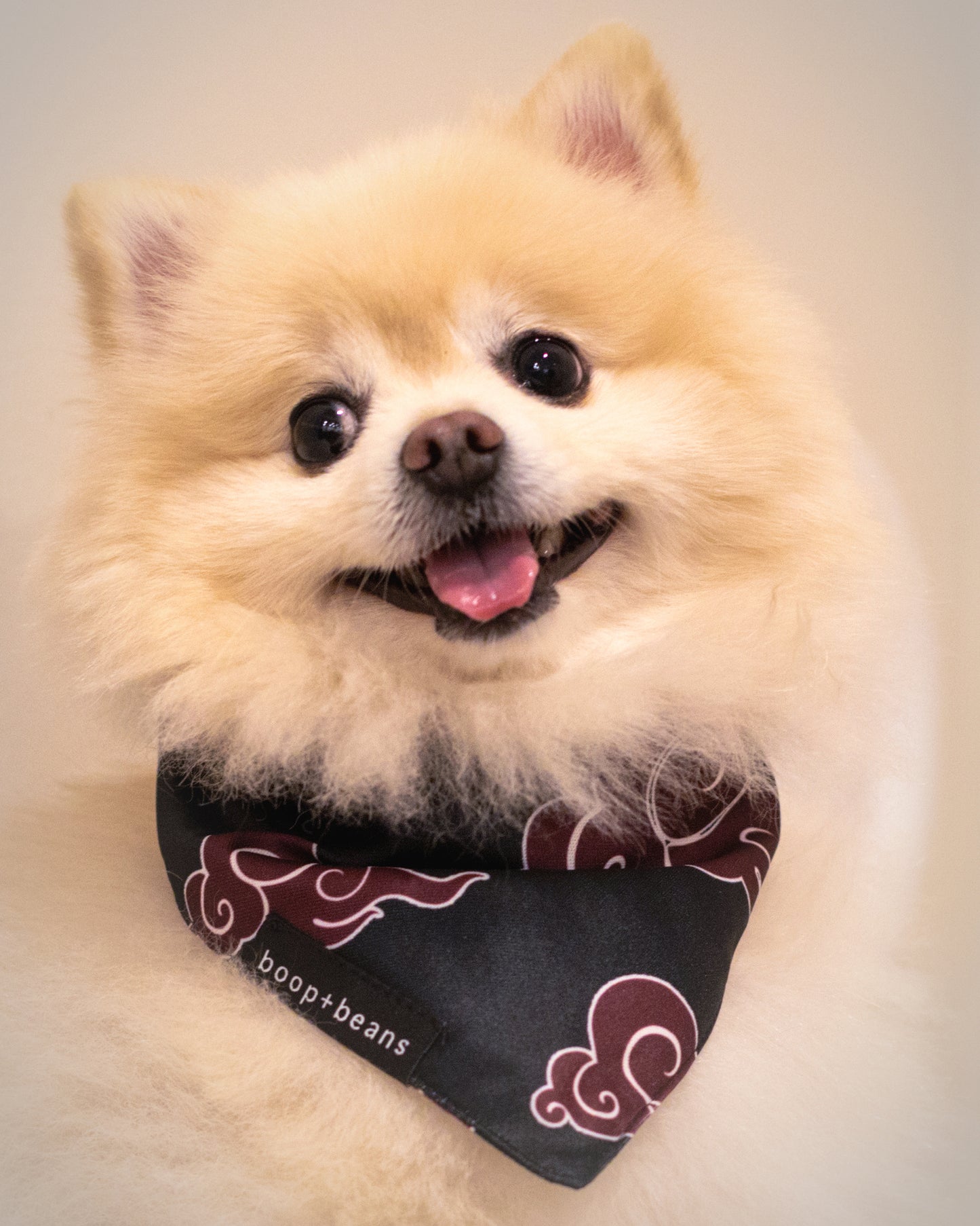 Akatsuki Style Bandana