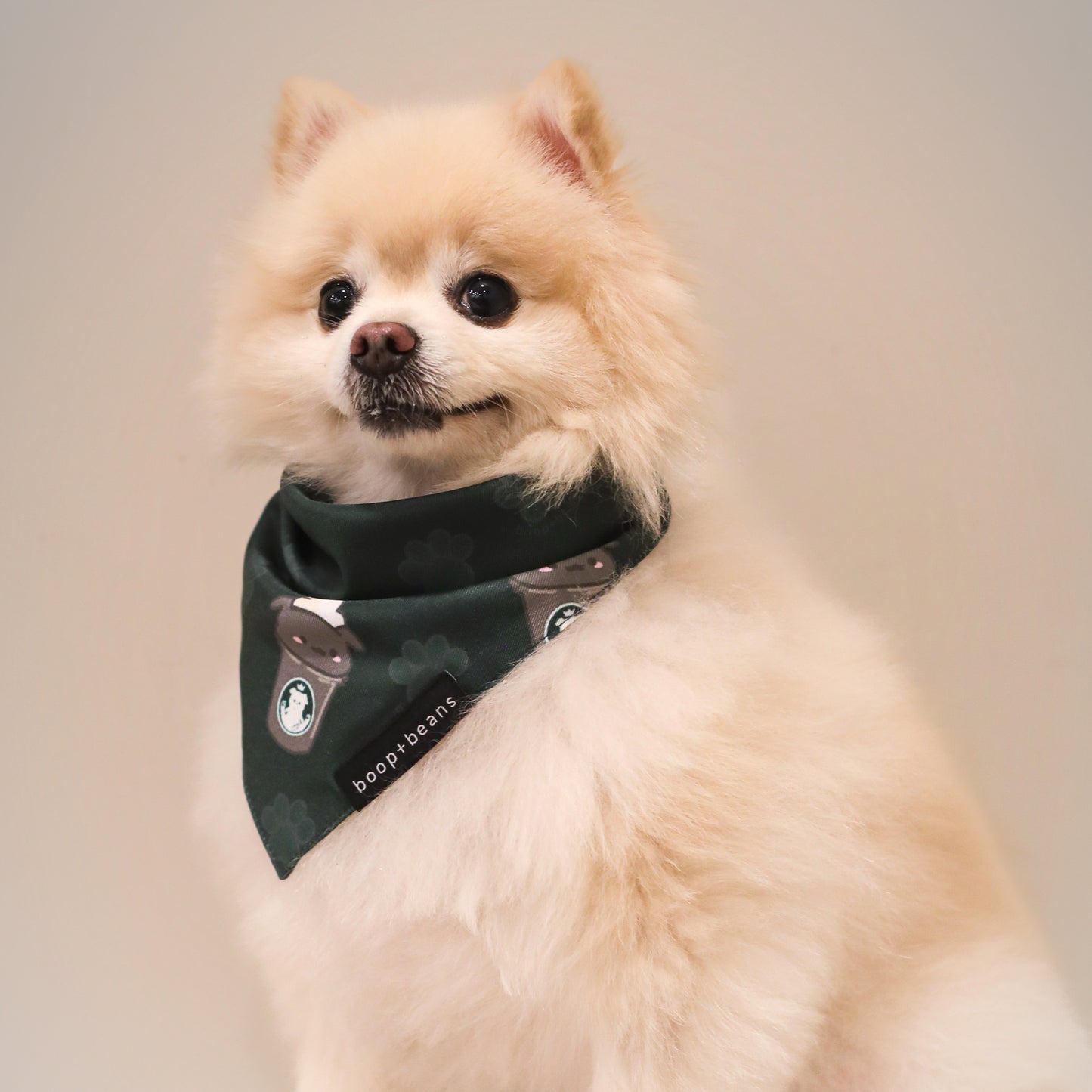 Pawbucks Style Bandana