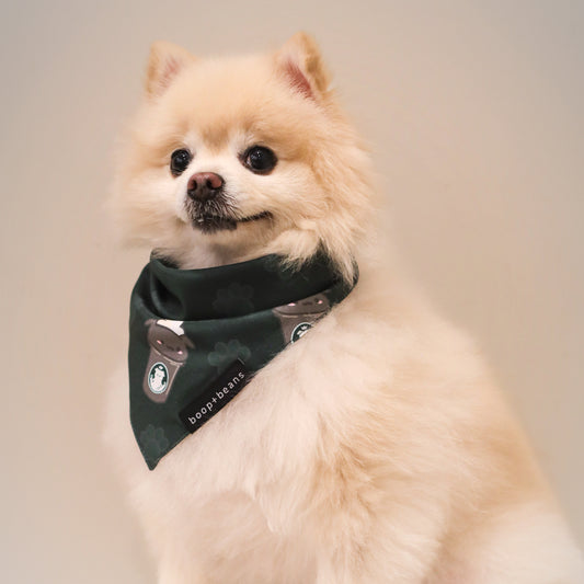 Pawbucks Style Bandana