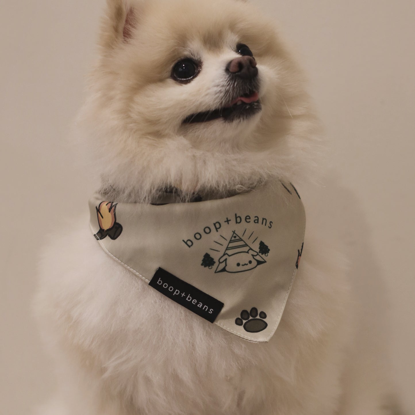 Campy Style Bandana