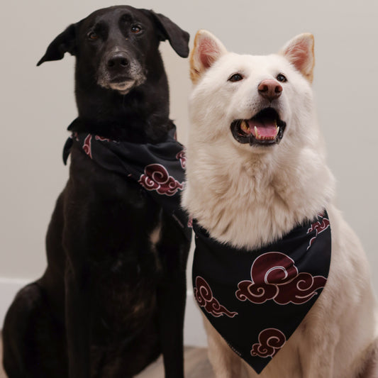 Akatsuki Style Bandana