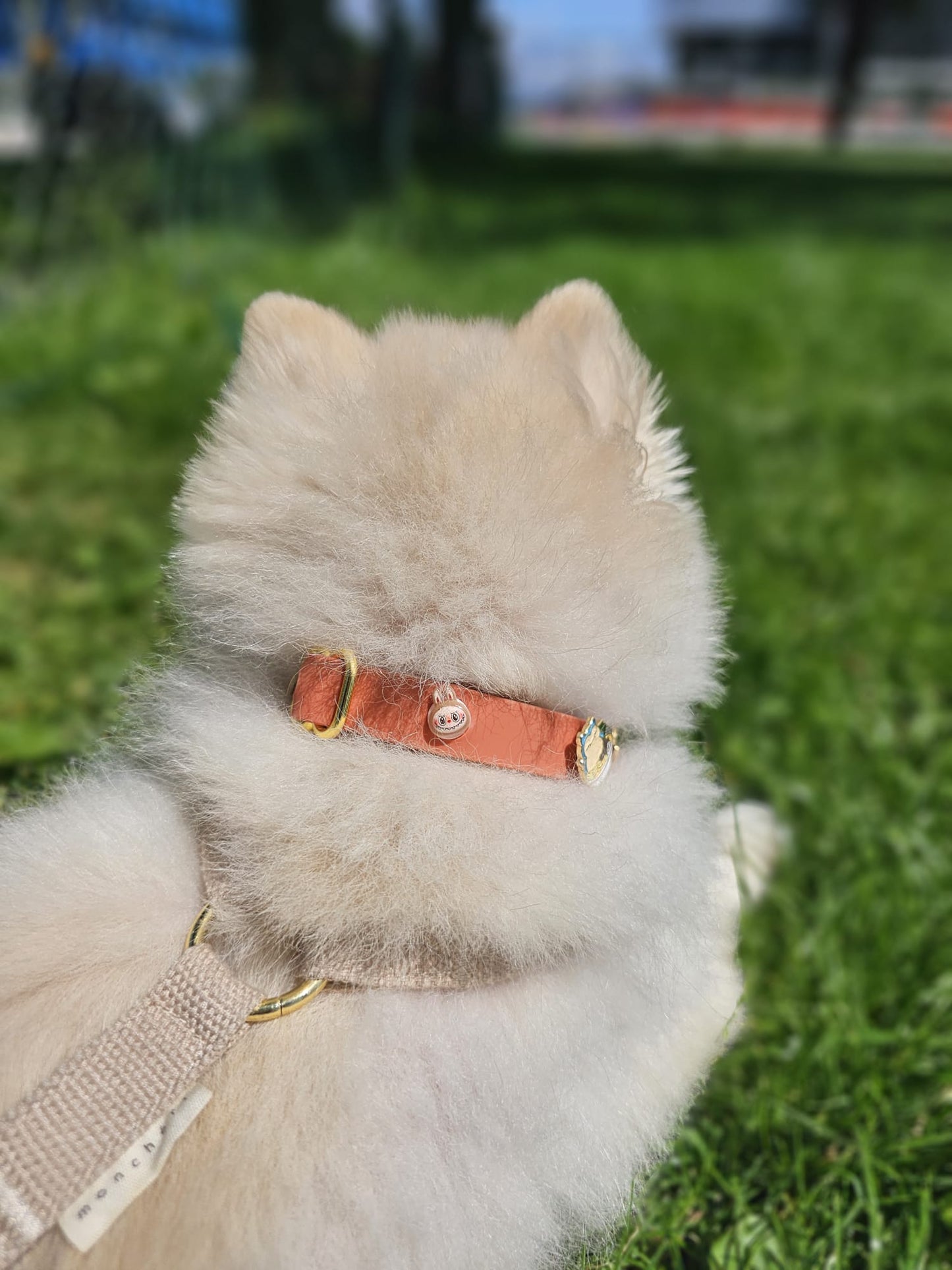 Charming Collar